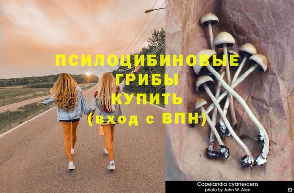 герыч Иннополис