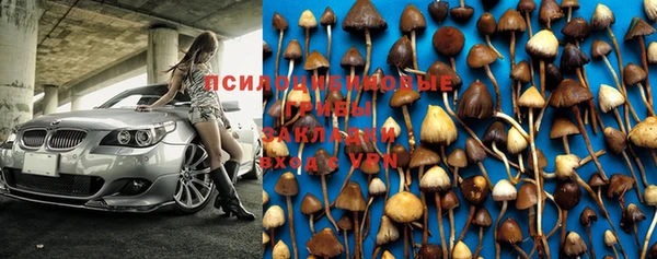 гашик Зеленокумск