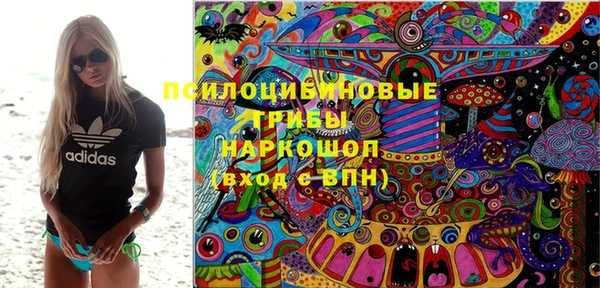гашик Зеленокумск