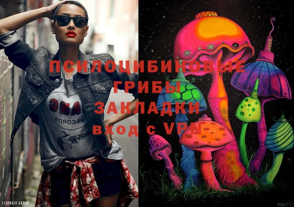 индика Чекалин