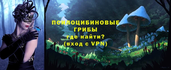 мескалин Инта