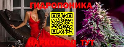дмт Волгодонск
