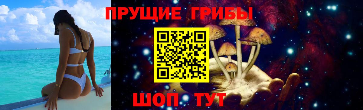 Ишим  Псилоцибиновые грибы Psilocybe  Галлюциногенные грибы мицелий  Вход с VPN 